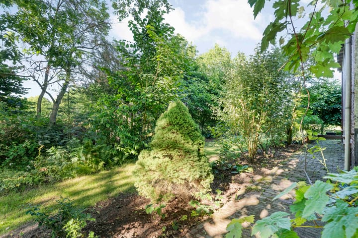 Foto 63 van Beilerweg 38