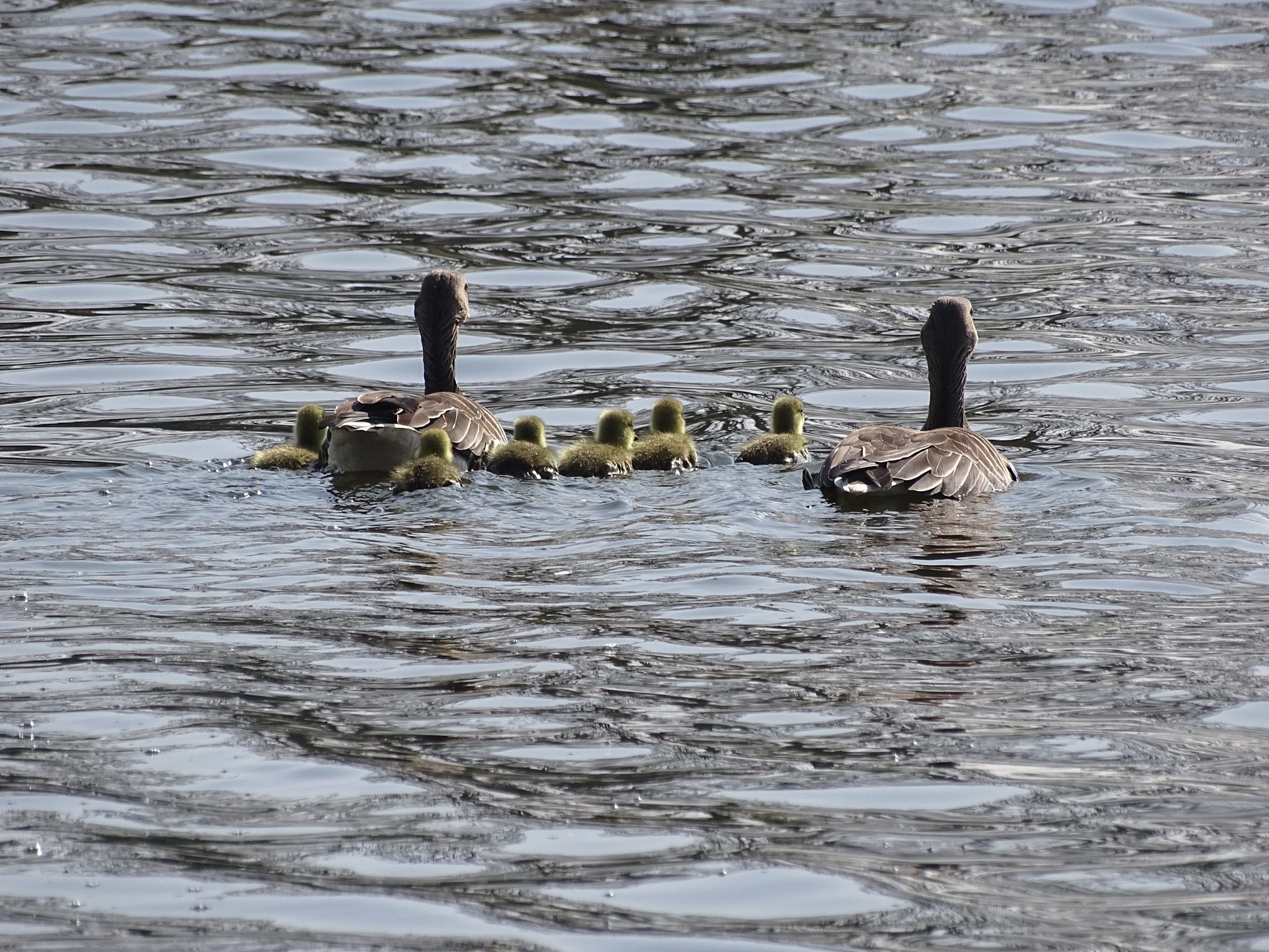 Foto 12 van Kavels (Bouwnr. C)