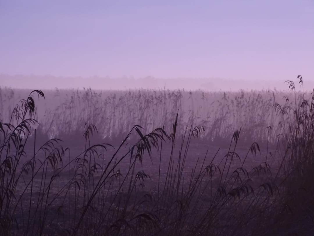 Foto 13 van Kavels (Bouwnr. C)