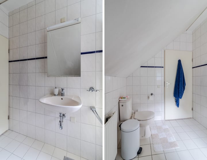 Foto 47 van Boterbloemlaan 4