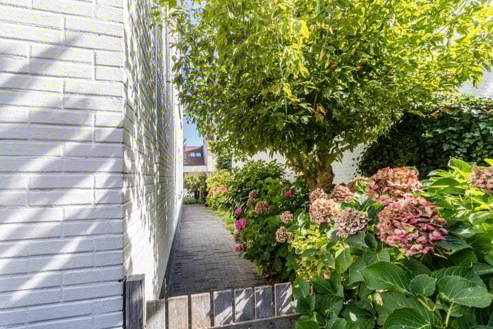 Foto 50 van Boterbloemlaan 4