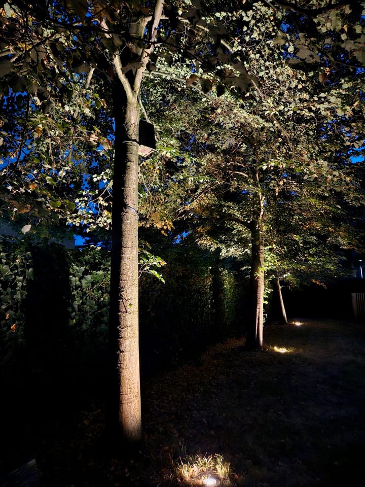 Foto 41 van Diepenbrocklaan 11