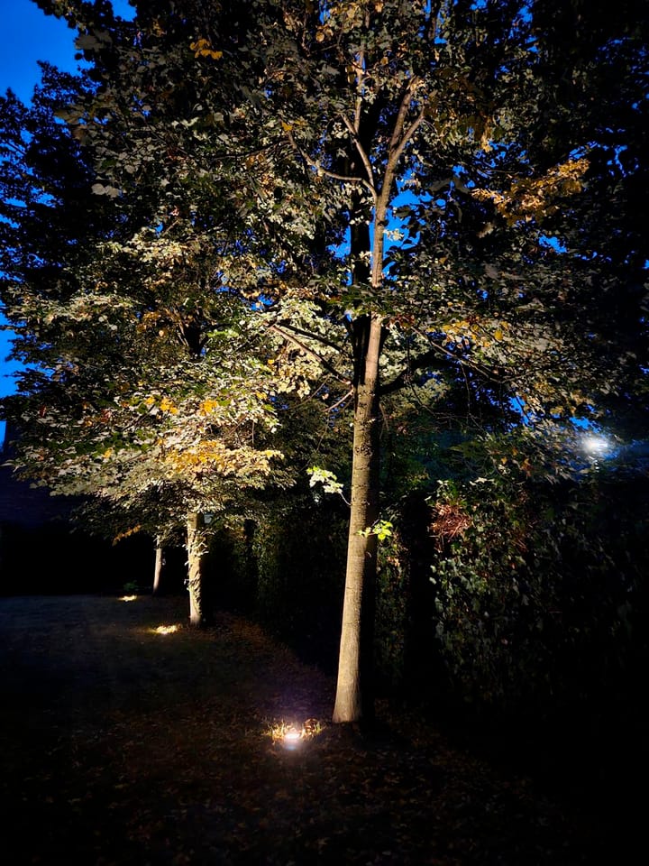 Foto 42 van Diepenbrocklaan 11