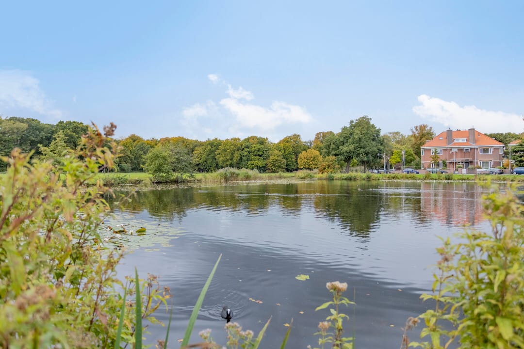 Foto 23 van Van Hoeylaan 27