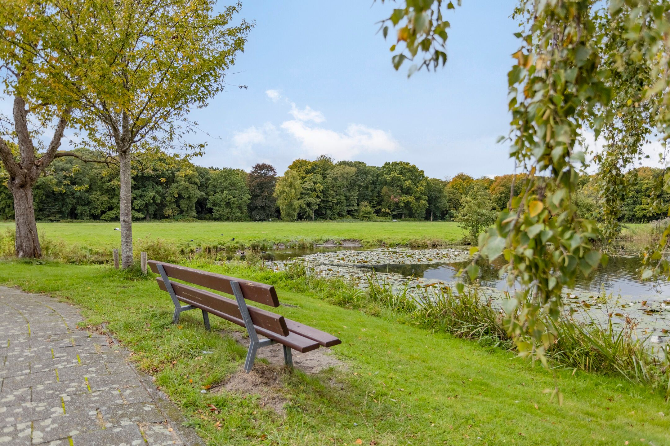 Foto 24 van Van Hoeylaan 27