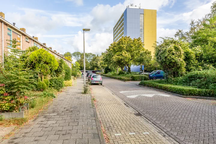 Foto 39 van Boeierstraat 93