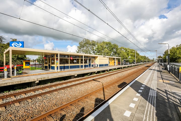 Foto 45 van Boeierstraat 93