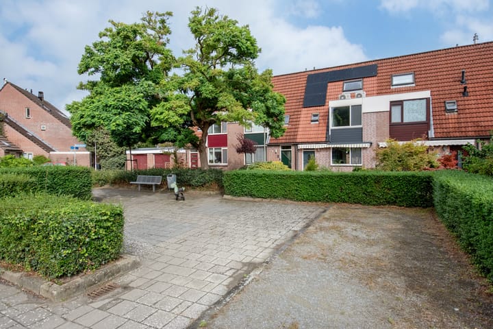 Foto 5 van Spinazieakker 15