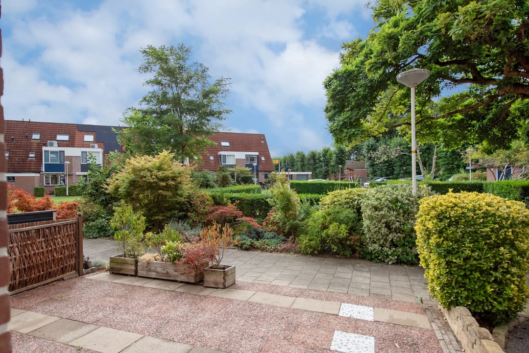 Foto 7 van Spinazieakker 15