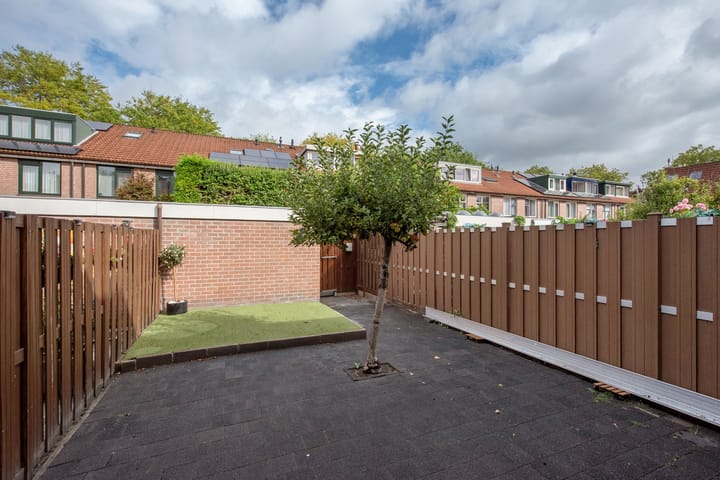 Foto 10 van Spinazieakker 15