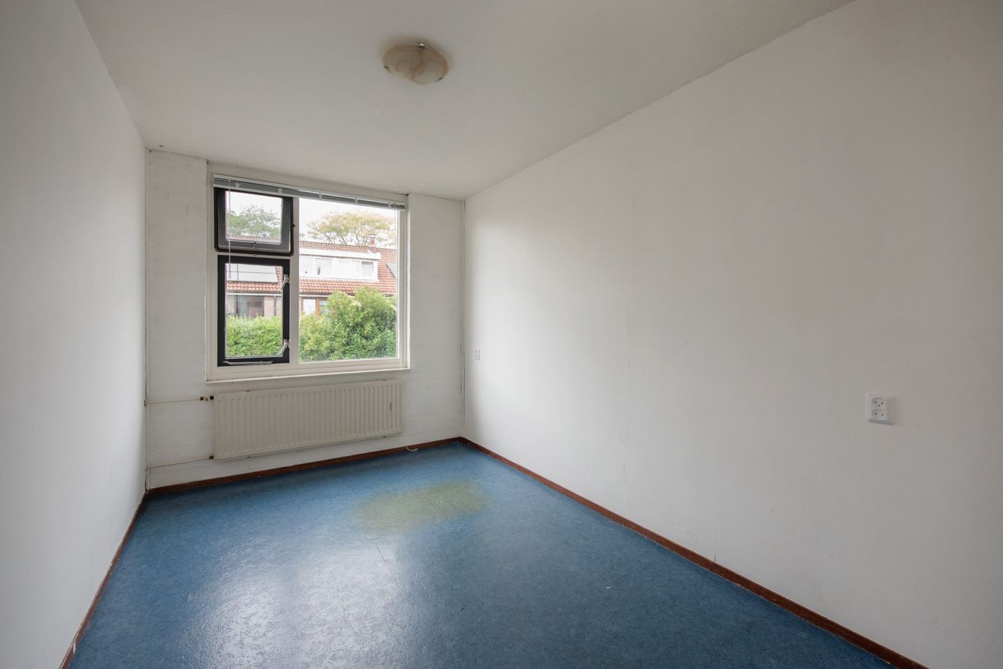 Foto 29 van Spinazieakker 15