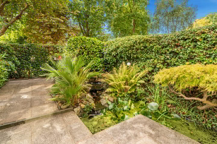 Photo 5 of De Loet 196