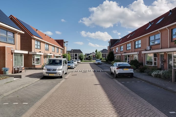 Foto 42 van Zomertaling 3