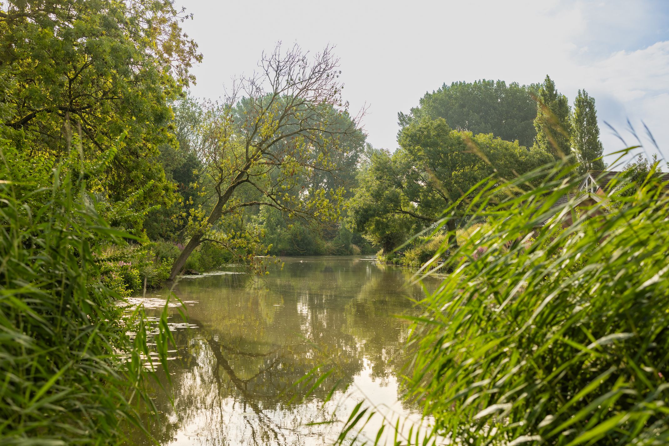 Photo 30 of Vaartstraat 6