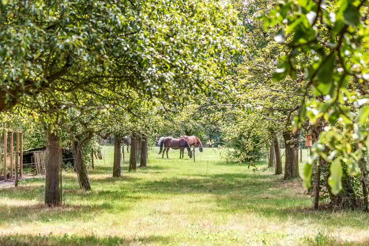 Photo 3 of Hoge Bremberg 2