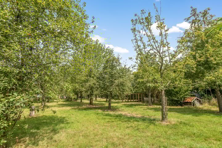 Photo 33 of Hoge Bremberg 2