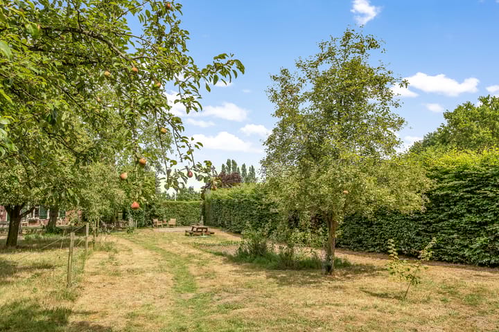 Photo 37 of Hoge Bremberg 2