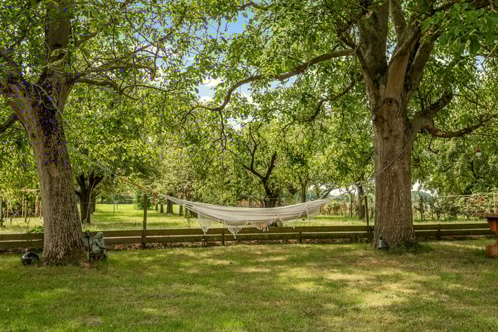 Photo 41 of Hoge Bremberg 2