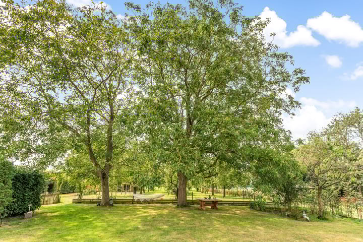 Photo 42 of Hoge Bremberg 2