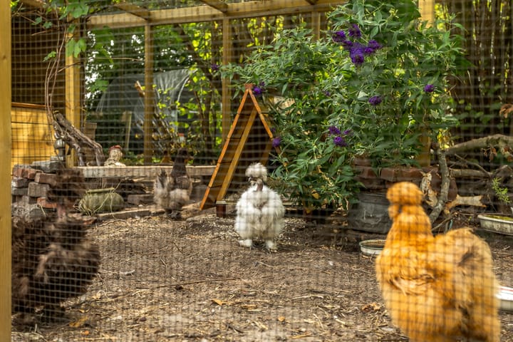 Photo 44 of Hoge Bremberg 2