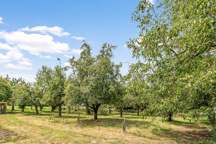 Photo 47 of Hoge Bremberg 2