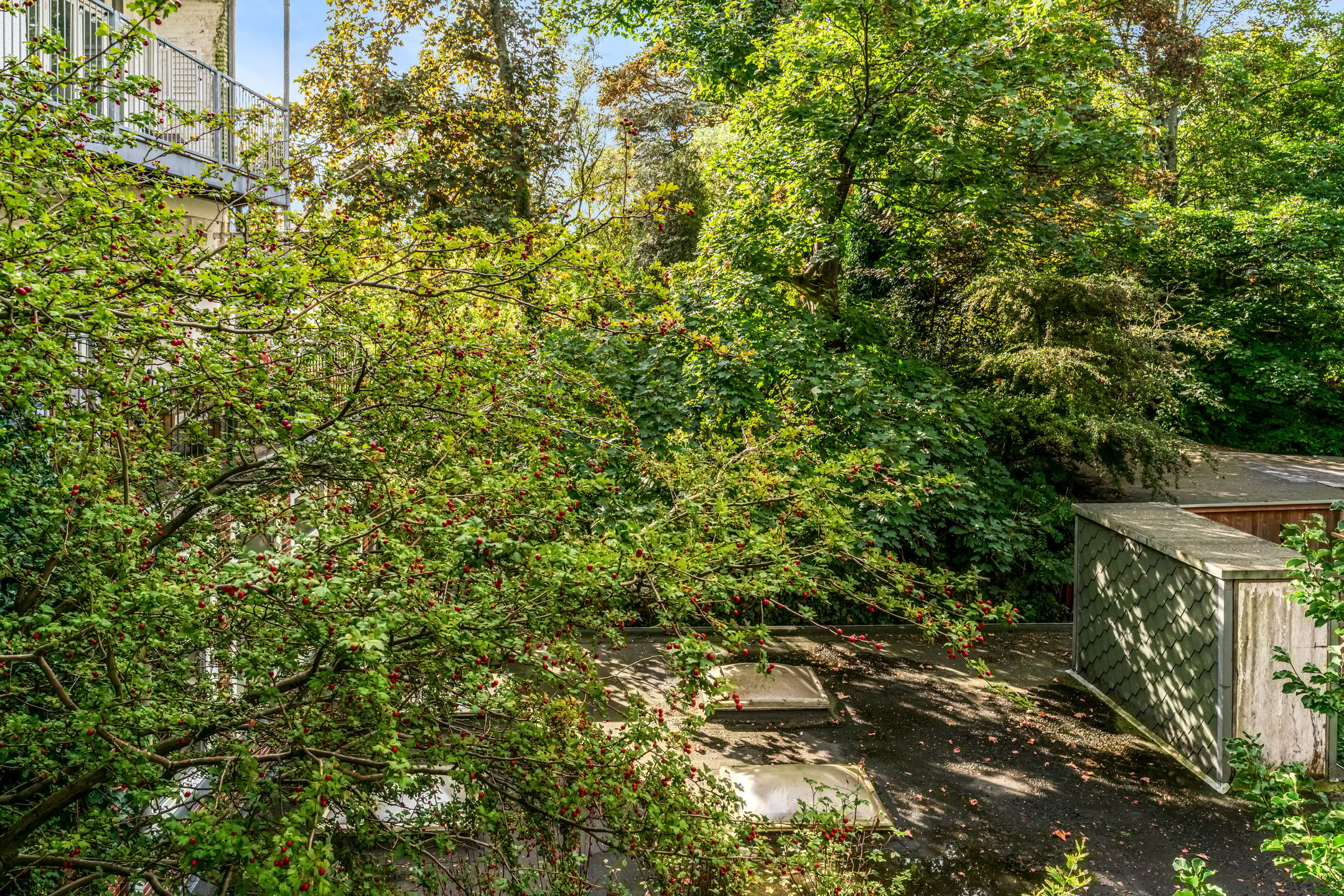 Foto 30 van Admiraal De Ruijterweg 29-1