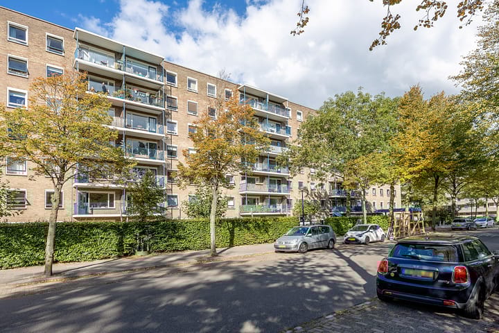 Aert van Neslaan 506 main image