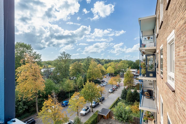 Foto 4 van Aert van Neslaan 506