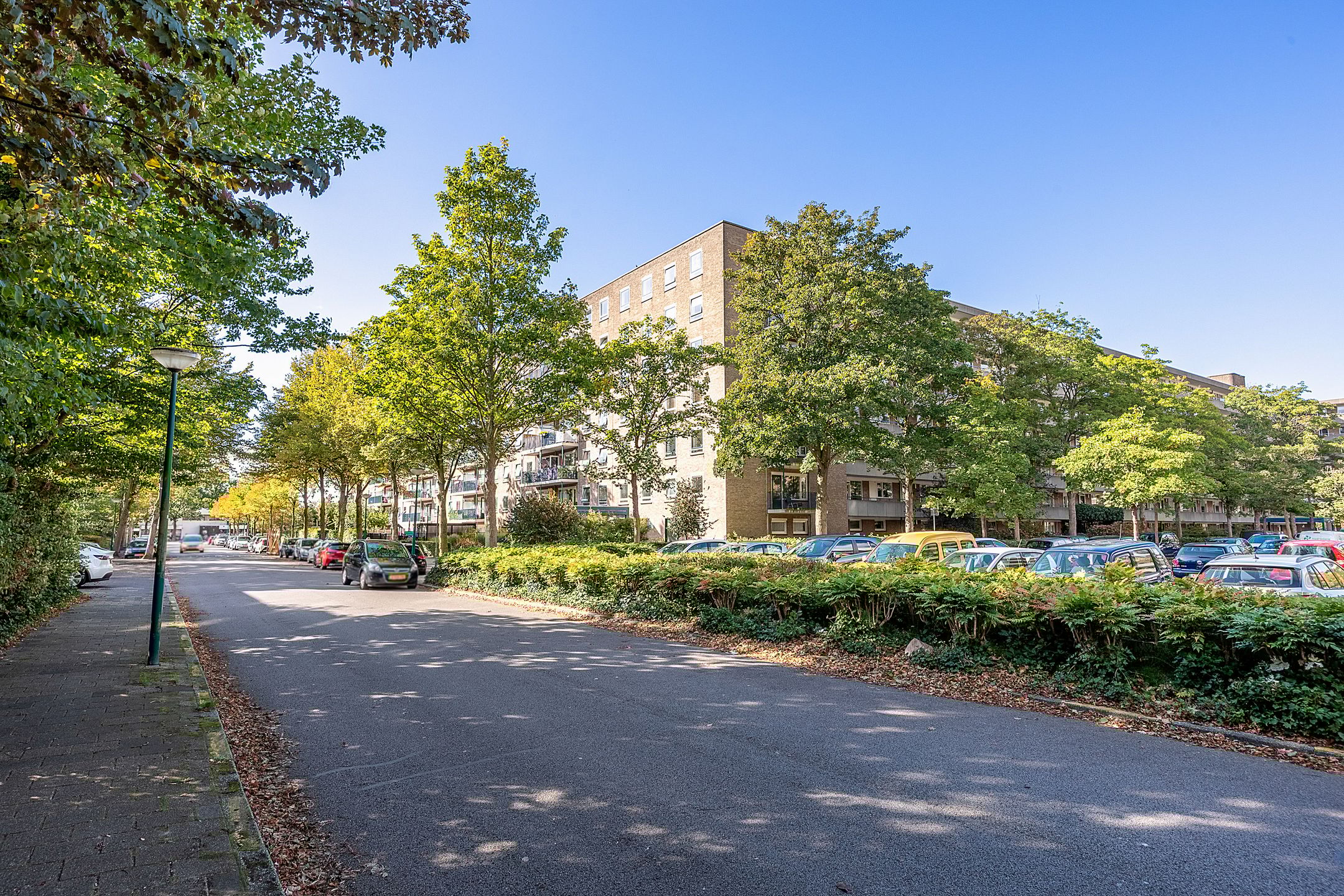 Photo 6 of Aert van Neslaan 506