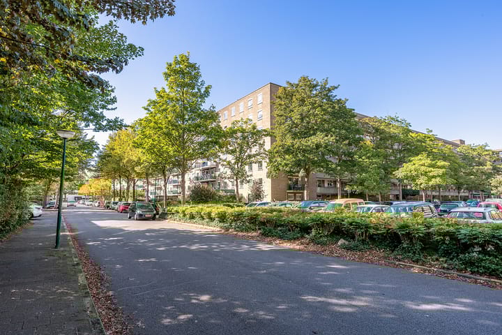 Foto 6 van Aert van Neslaan 506