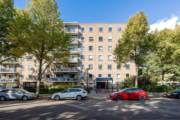 Foto 7 van Aert van Neslaan 506