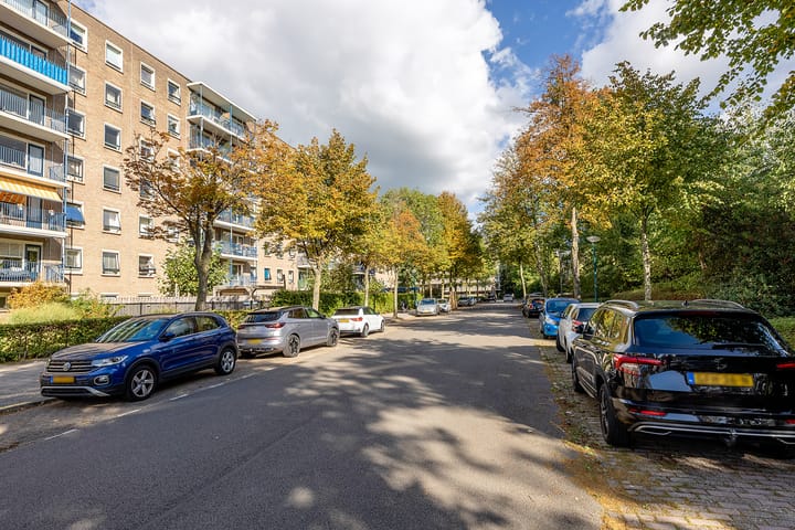 Foto 8 van Aert van Neslaan 506