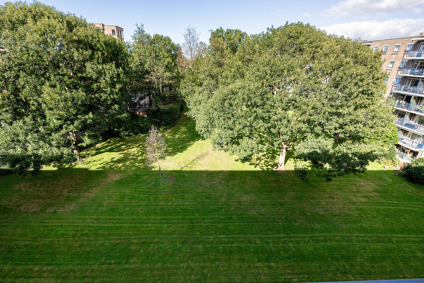 Photo 14 of Aert van Neslaan 506