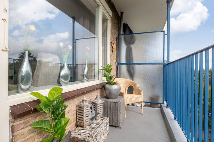 Foto 37 van Aert van Neslaan 506