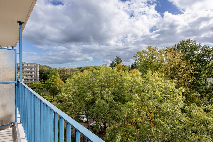 Foto 39 van Aert van Neslaan 506