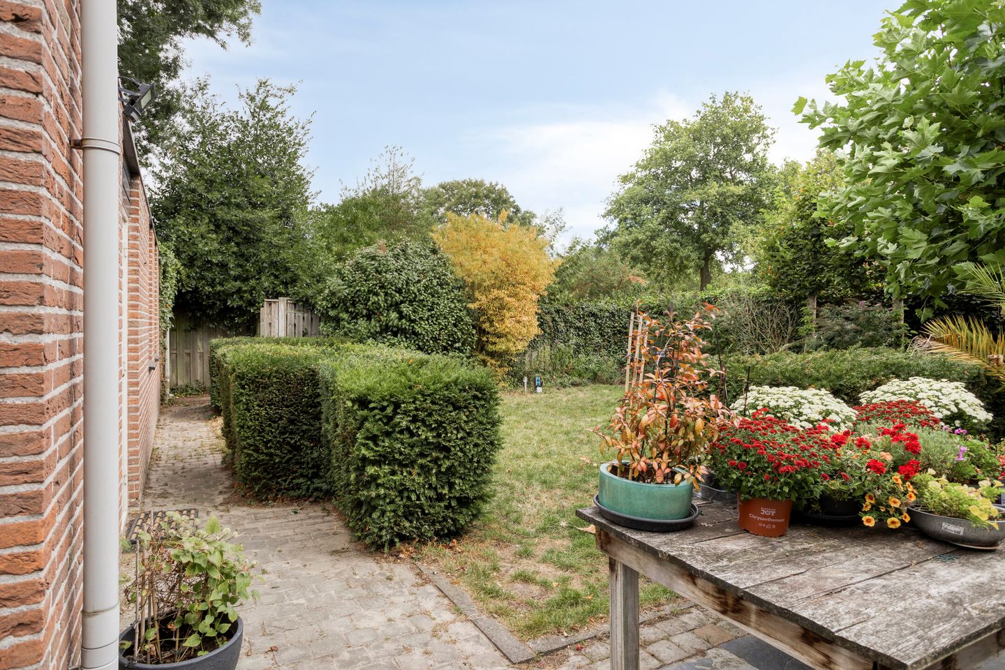 Foto 5 van het Bovenwiel 14