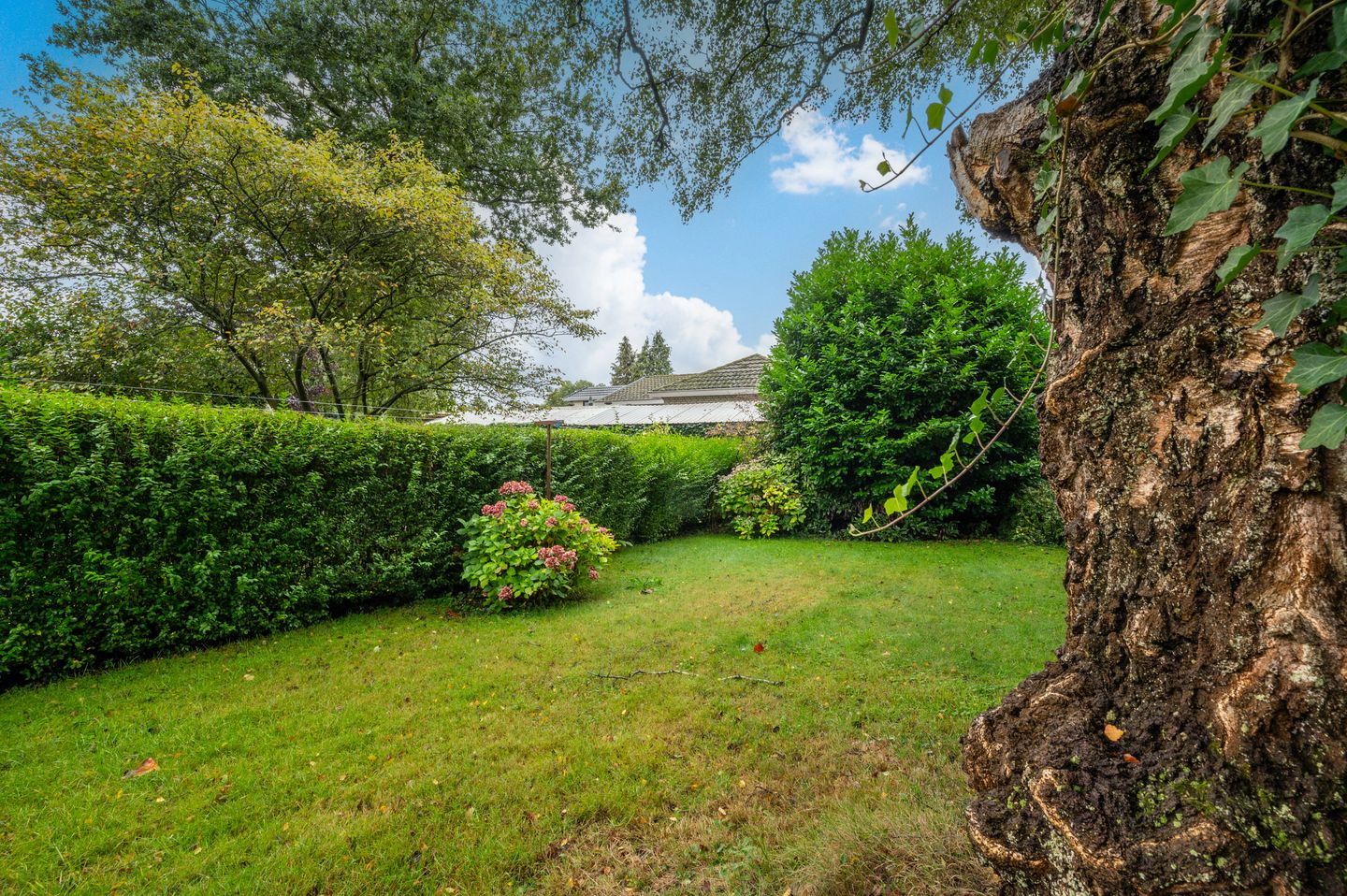 Photo 25 of Langeweg 60