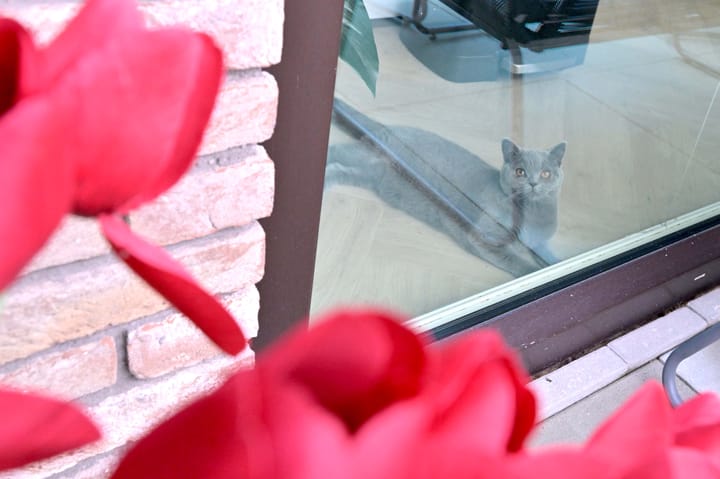 Foto 39 van Ganzediepstraat 11