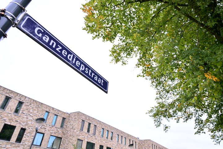 Foto 44 van Ganzediepstraat 11