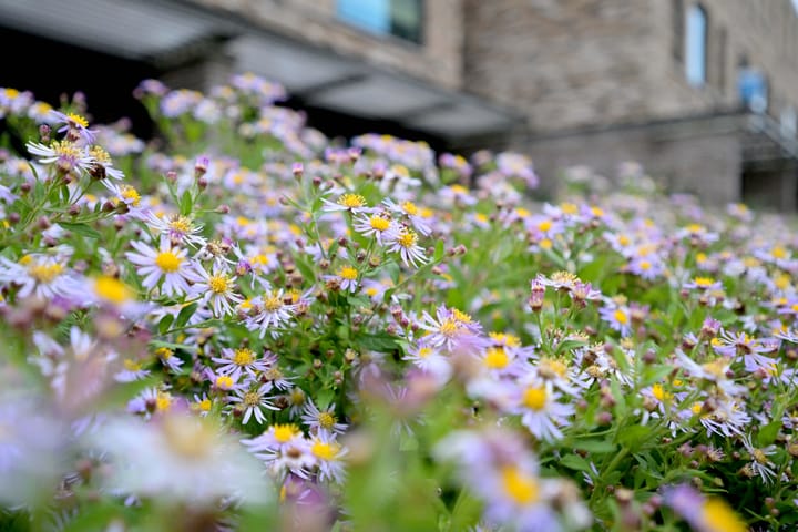 Foto 48 van Ganzediepstraat 11