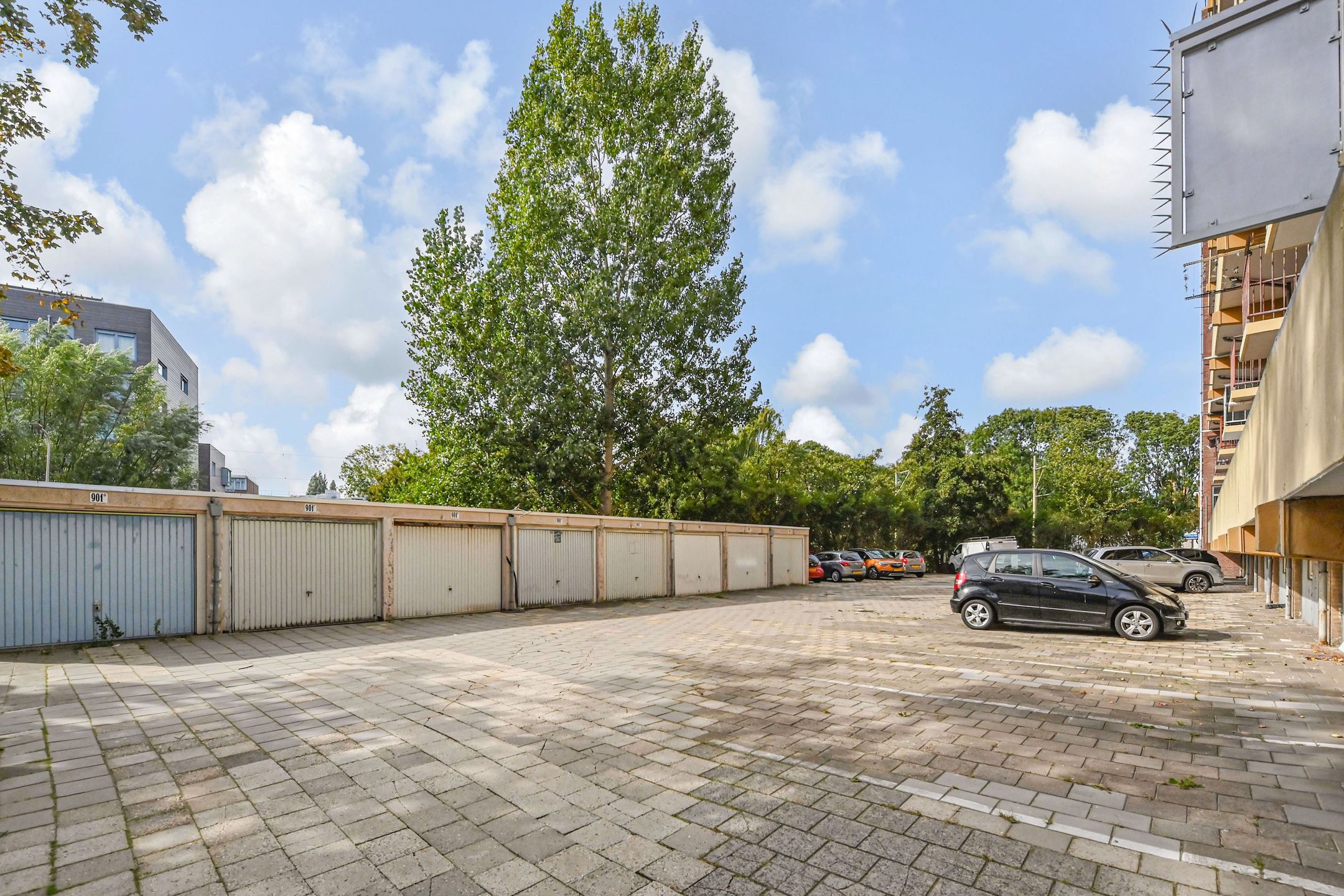 Foto 42 van Loevesteinlaan 895