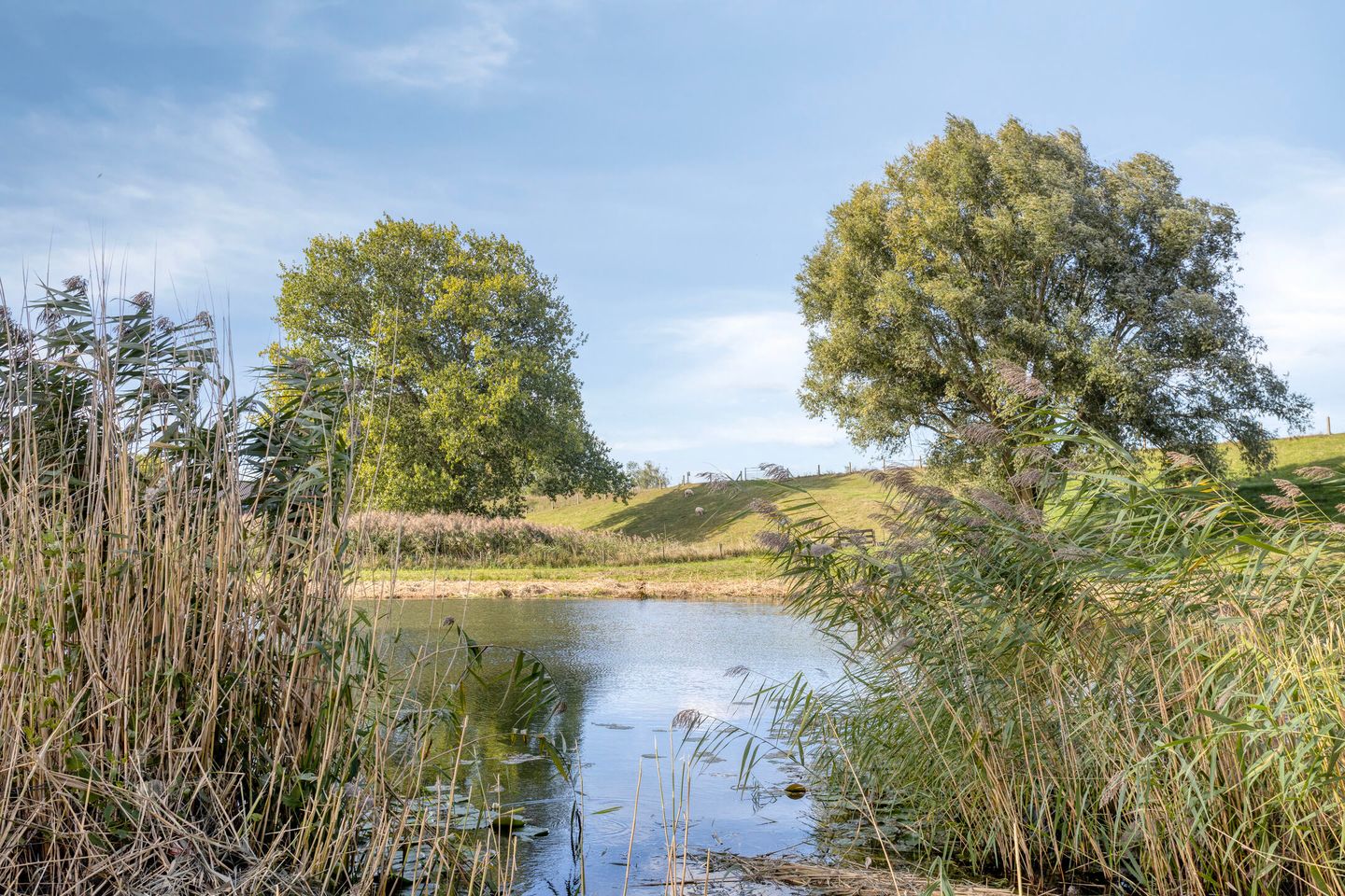 Photo 34 of Irenelaan 17