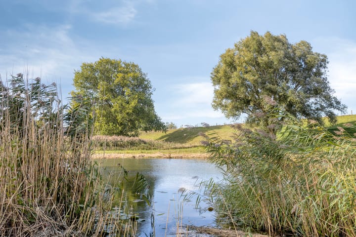 Foto 34 van Irenelaan 17