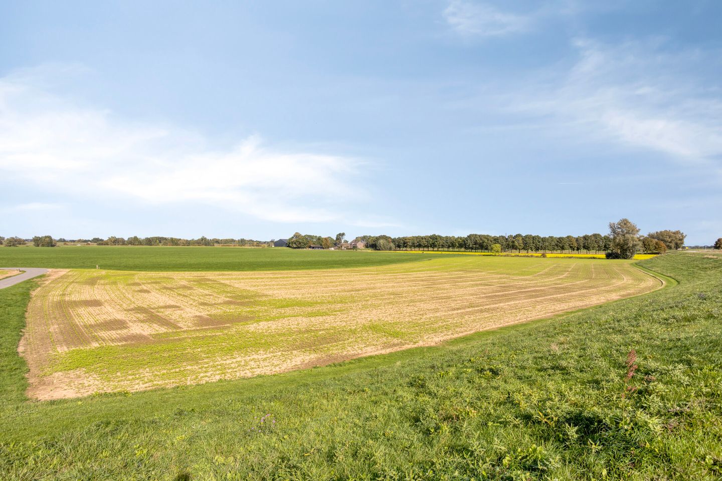 Photo 35 of Irenelaan 17