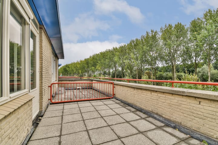 Foto 36 van Palissander 203