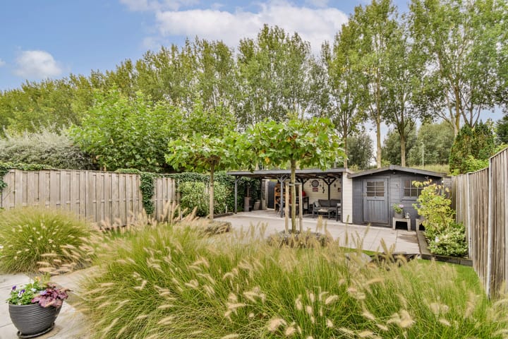 Foto 41 van Palissander 203