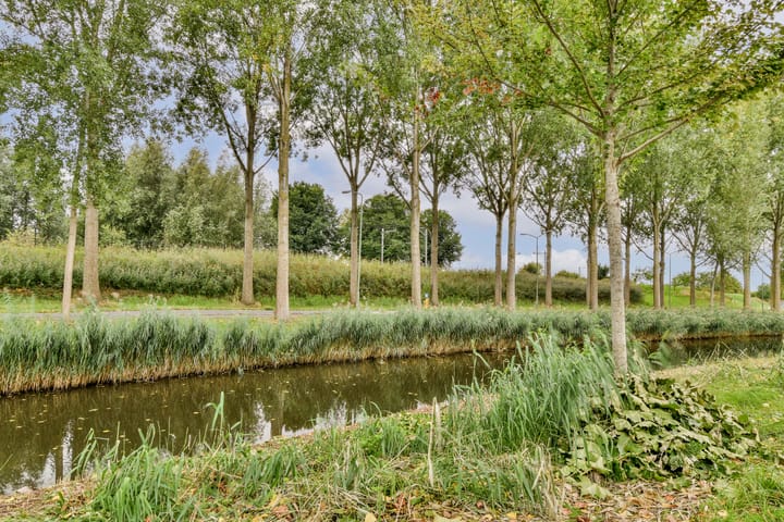 Foto 44 van Palissander 203