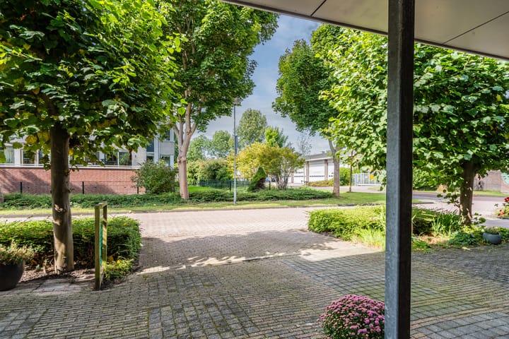 Foto 44 van Schepenen 3