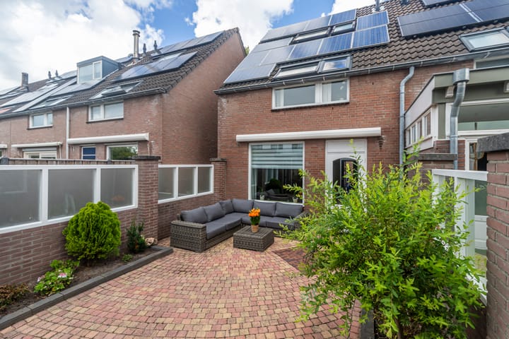 Foto 1 van Leverkruid 7