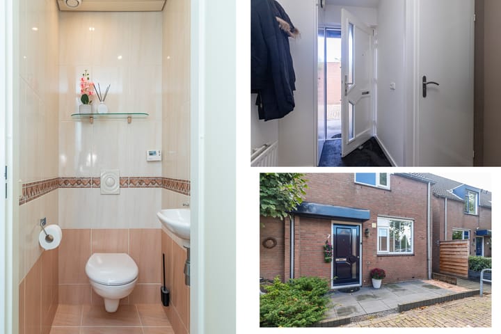 Foto 30 van Leverkruid 7